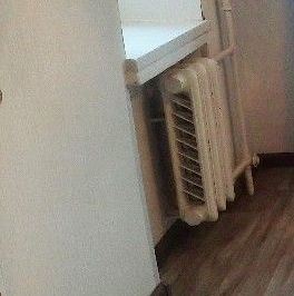 Аренда 1-комн квартиры на вторичном рынке улица Лени Голикова, 25