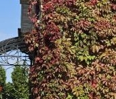 Продать Дачи, коттеджи, загородные дома Безымянный переулок, 14к2   