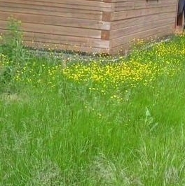 Продажа дома пос. Лейпясуо, Булат СНТ, улица Булатная, д. 32 Продажа дома пос. Лейпясуо, Булат СНТ, улица Булатная, д. 32