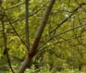 Продать Комнаты в квартирах Литовский бульвар, 46К1   