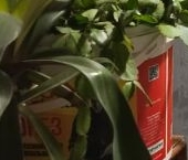 Продать Квартиры вторичка Байкальская улица, 47   