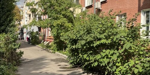 3-комн квартира переулок Старый Толмачевский, 7