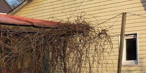 Коттедж/дом Лахта тер., улица Александровская, 20