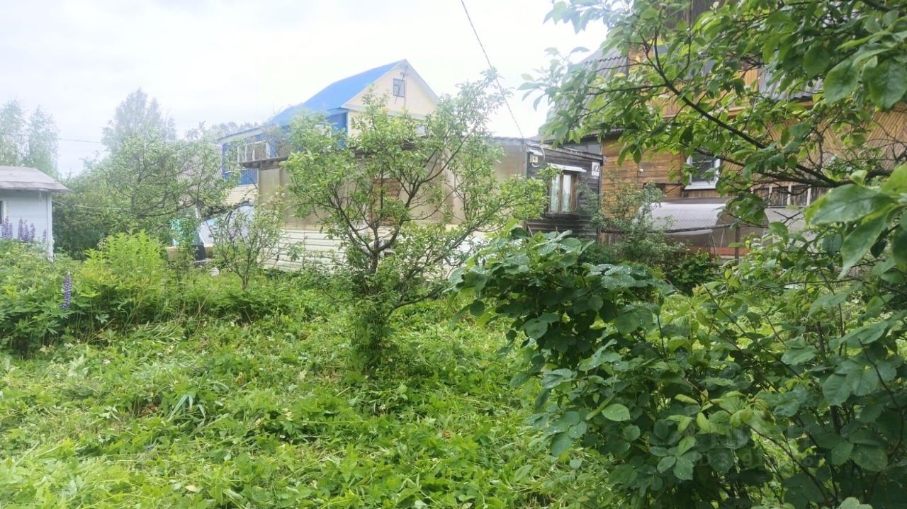 Продажа земли пос. Прибытково, Средний проспект