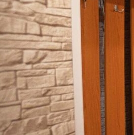 Аренда 1-комн квартиры на вторичном рынке Богатырский проспект, 55к1