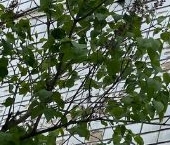 Продать Квартиры вторичка Филевский бульвар, 12   