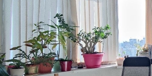 1-комн квартира улица Москворечье, 31к1