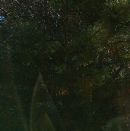 Продажа дома д. Бережок, 55 Продажа дома д. Бережок, 55