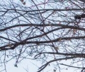 Продать Квартиры вторичка Озерковская набережная, 6   