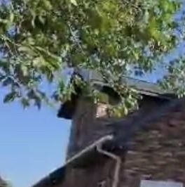 Продажа дома Ломоносов, Мартышкино тер.