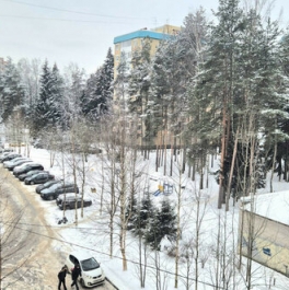 Продажа 2-комн квартиры на вторичном рынке Сертоловское городское поселение, Центральная улица,  д. 1 к1