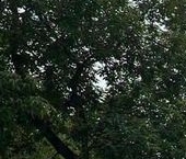 Продать Квартиры вторичка улица Народного Ополчения, 44к1   