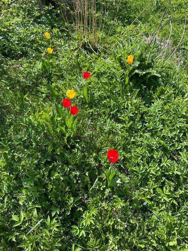 Продажа дома Новинка садоводческий массив, Виктория СНТ