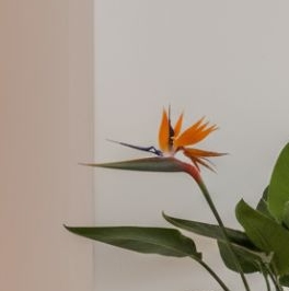 Аренда 6-комн квартиры на вторичном рынке Мясницкая улица, 15 Аренда 6-комн квартиры на вторичном рынке Мясницкая улица, 15