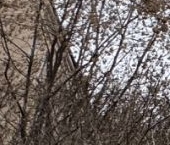 Продать Квартиры вторичка Тихвинский переулок, 10-12к5   