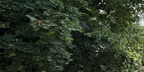 2-комн квартира улица Молдагуловой, 28К4