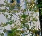 Продать Комнаты в квартирах Дрезна, Ленинский проезд  2 