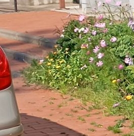 Продажа 1-комн квартиры на вторичном рынке Коммунар г., улица Славянская, 9