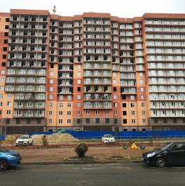 Продажа 1-комн квартиры в новостройке Никольское Советский проспект,  д. 138