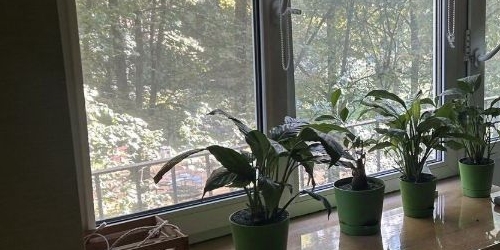 1-комн квартира проспект Стачек, 124