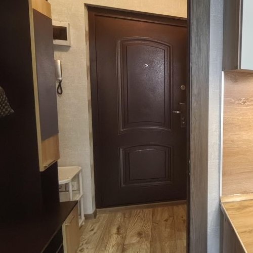 Студия пос. Шушары, Пулковское тер., улица Сарицкая, 9