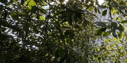 4-комн квартира улица Партизана Германа, 37А