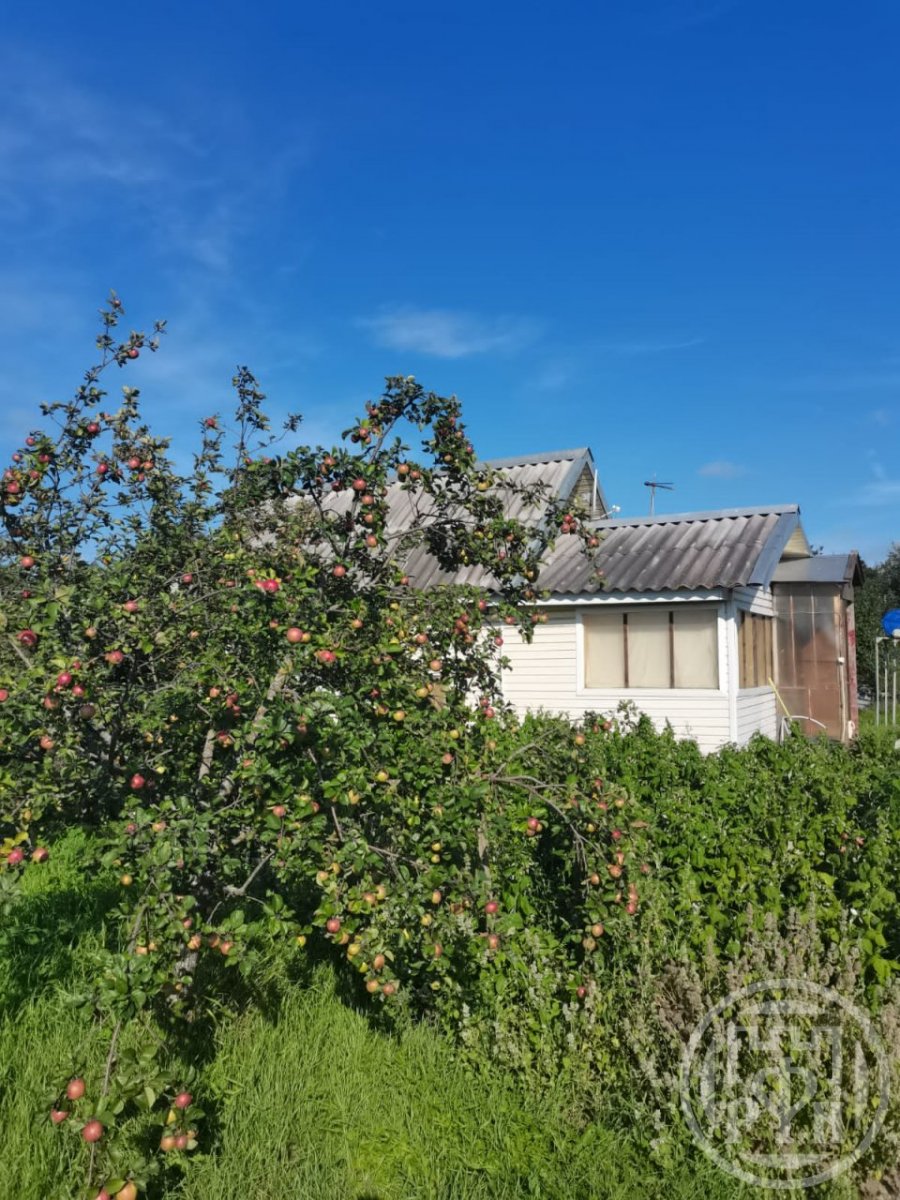 Продажа дома Вистино дер.