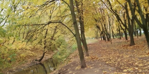 1-комн квартира ул Ротерта,  д. 10,  к. 3
