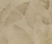 Продать Квартиры вторичка Муравская улица, 42к2   