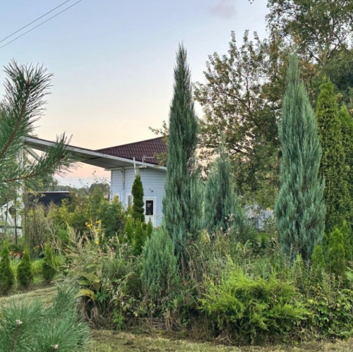 Земельный участок Новосёлки, 46К-5102