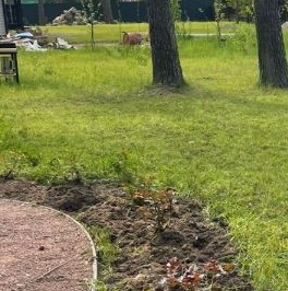 Продажа дома пос. Волочаевка, проезд 3-й Сказочный Продажа дома пос. Волочаевка, проезд 3-й Сказочный