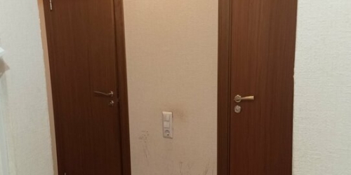 3-комн квартира Даниила Хармса ул,  д. 5,  к. 1