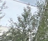 Продать Квартиры вторичка улица Маршала Кожедуба, 6к1   