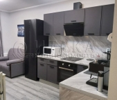 Сдать в аренду Квартиры вторичка Новосаратовка, Первых ул., д. 2, корп. 4   