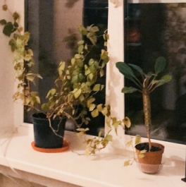 Продажа 3-комн квартиры на вторичном рынке Задворная улица,  д. 12