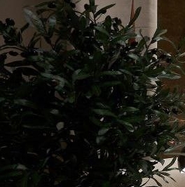 Продажа 3-комн квартиры на вторичном рынке 1-й Зачатьевский переулок, 5