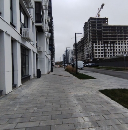 Аренда ПСН Прокшинский проспект, д. 7 Аренда ПСН Прокшинский проспект, д. 7