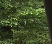 Продать Квартиры вторичка Гражданский проспект, 74К2   