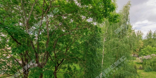 4-комн квартира Пушкин г., Дворцовая ул., 11