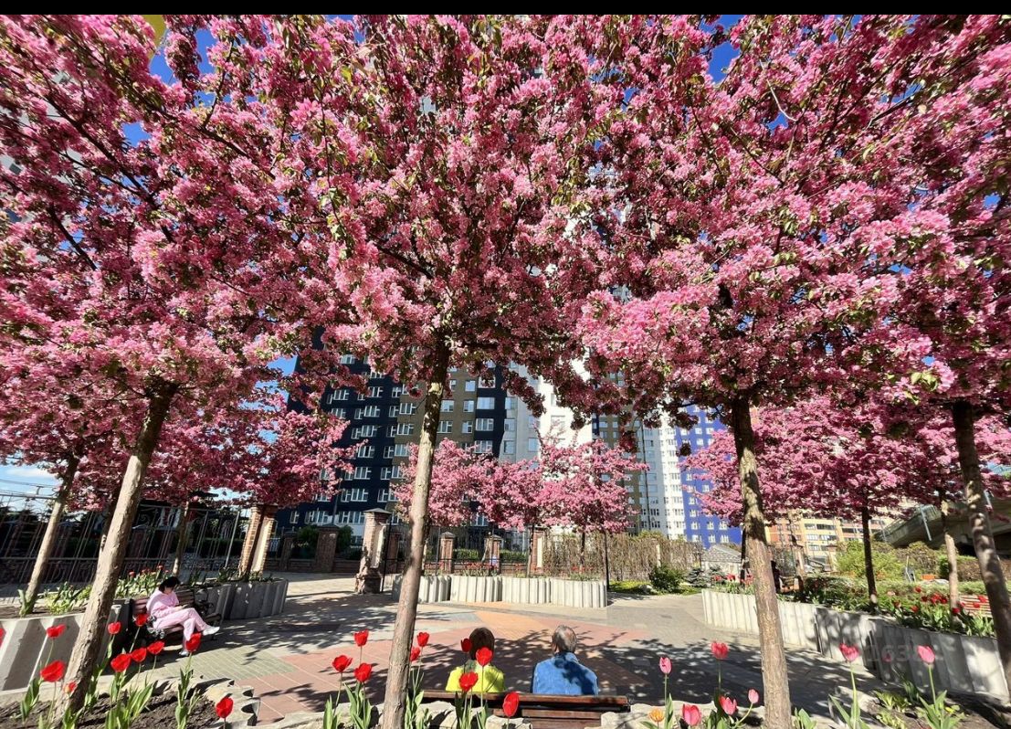 Аренда 1-комн квартиры на вторичном рынке Красногорск, улица Авангардная, 6