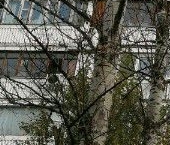 Продать Квартиры вторичка Ташкентская улица, 27К3   