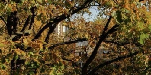 2-комн квартира Бестужевская улица, 47