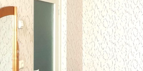 1-комн квартира Пушкин, Гусарская улица, 6к9