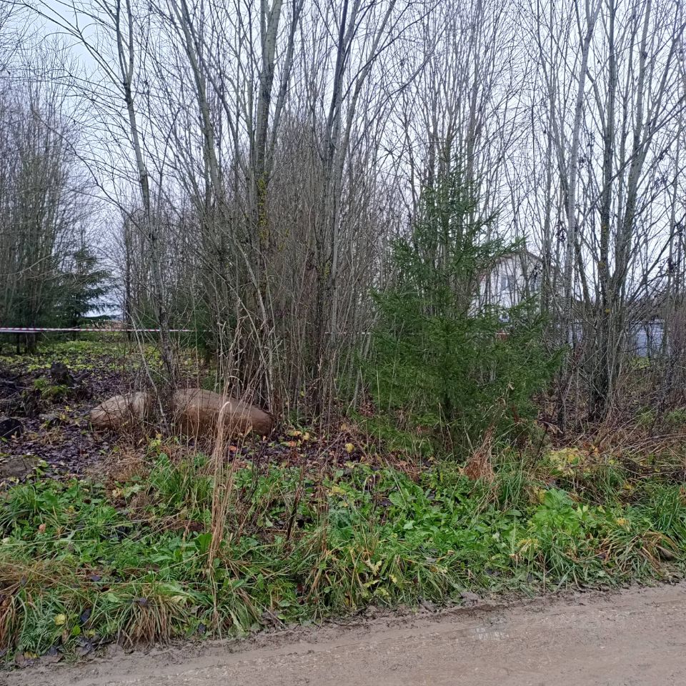 Продажа земли д. Калитино, улица Новодеревенская