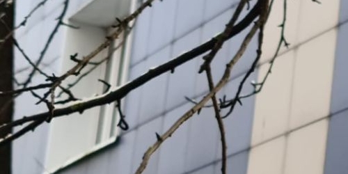 1-комн квартира улица Молдагуловой, 6