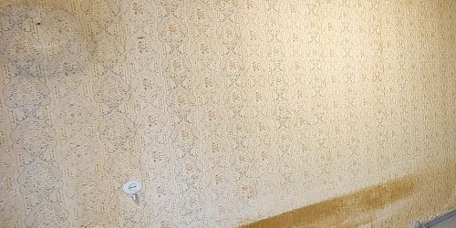 3-комн квартира Череповецкая улица, 4