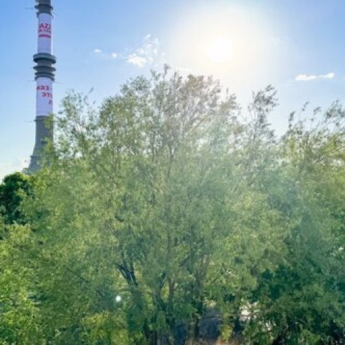 1-комн квартира улица Академика Королёва,  д. 13