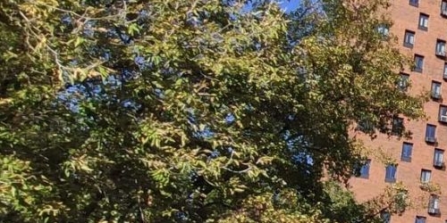 Студия шоссе Энтузиастов, 86Ак3