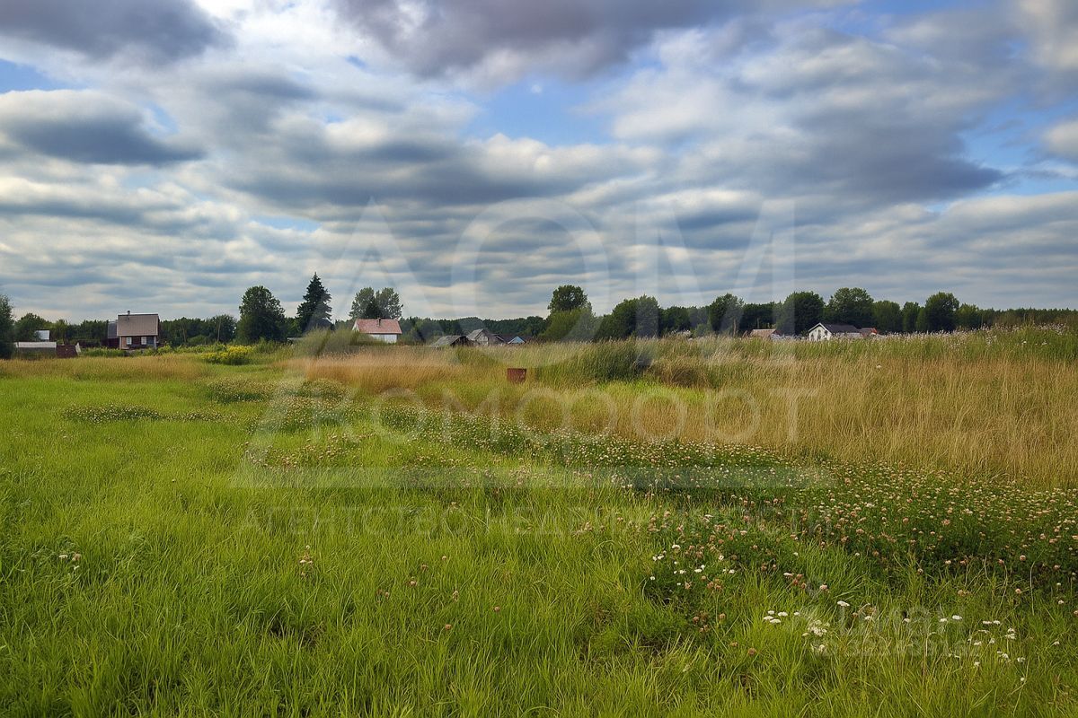 Продажа земли пос. Соловьевка, улица Центральная