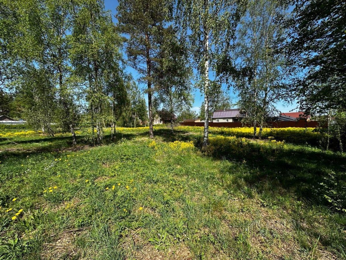 Продажа земли пос. Приладожское, Гусиное СНТ, 37